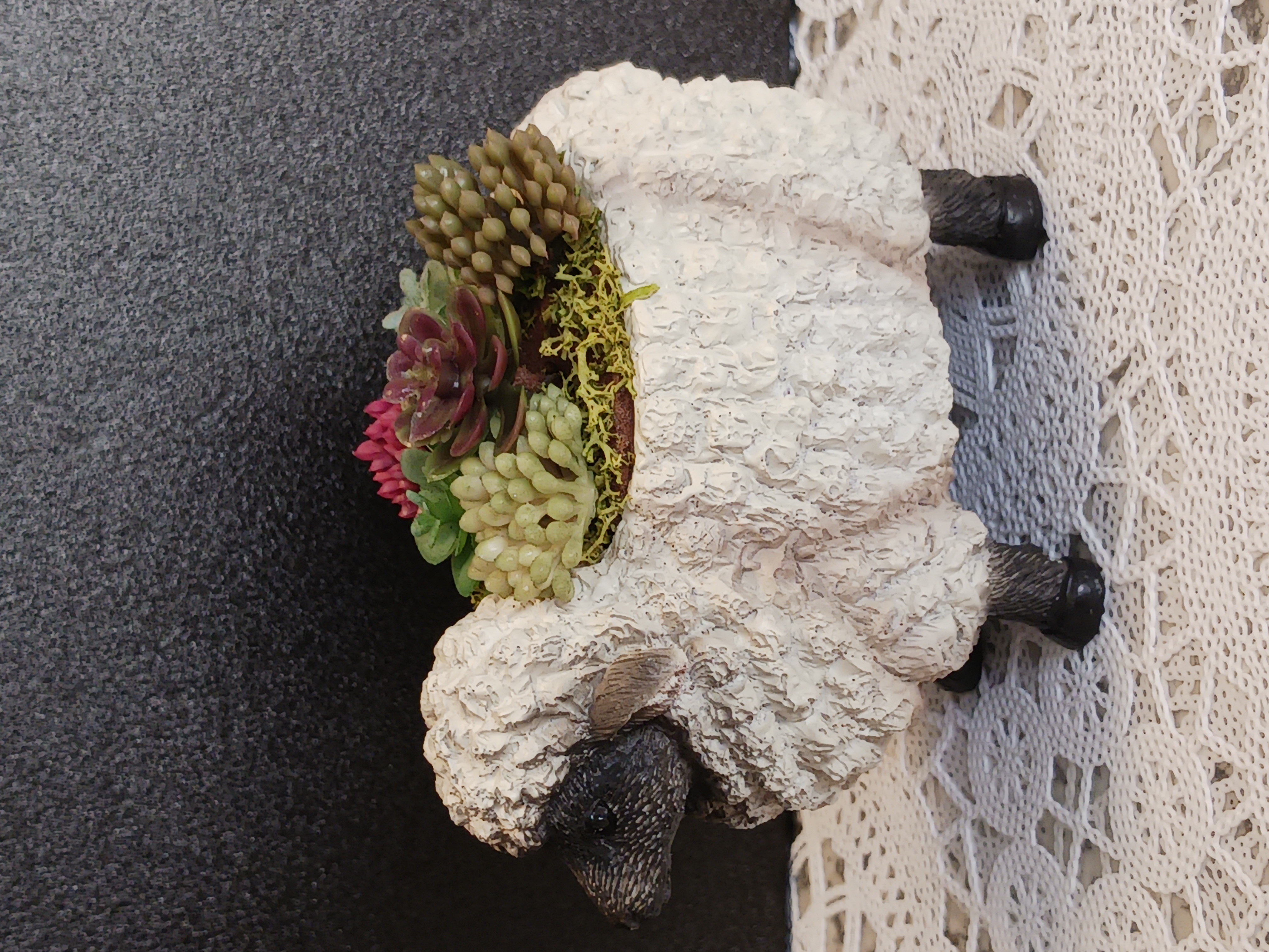 多肉植物アレンジメント